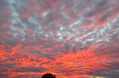 Rojo Atardecer