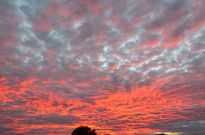 Rojo Atardecer