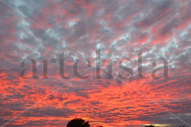 Rojo Atardecer Naturaleza Color (Digital)