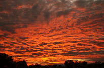 El cielo nublado de...