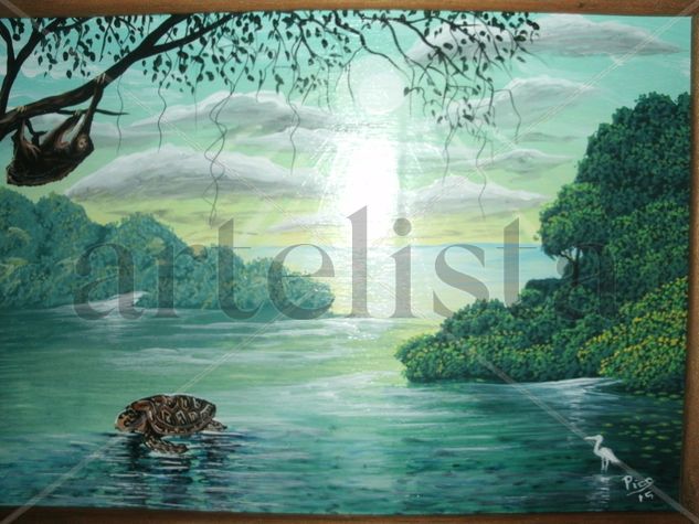 tortugas de costa rica. Acrylic Canvas Marine Painting