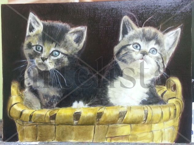 gatos 2015 Oil Others Animals