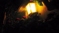 FAROL