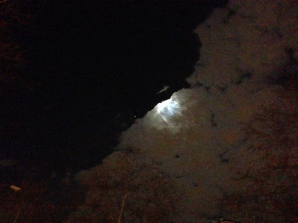 Luna2
