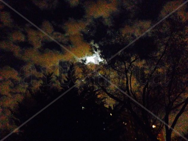 LUNA NUVES 1