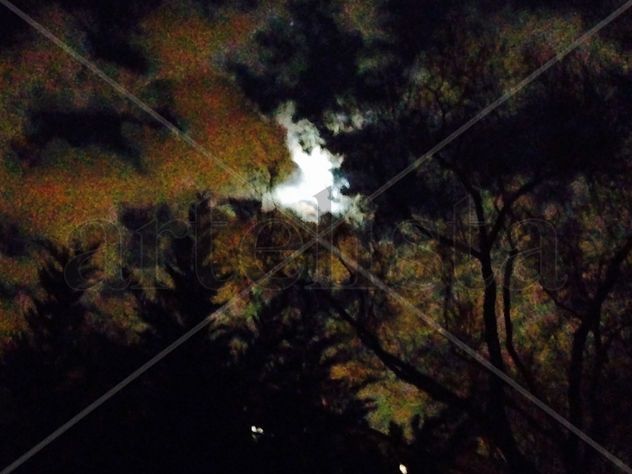 LUNA NUVES2