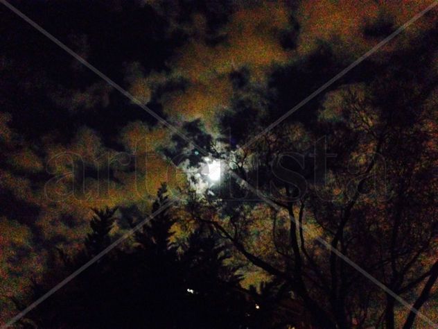 LUNA NUVES4