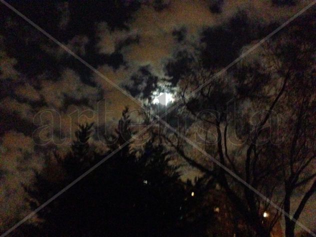 LUNA NUVES6