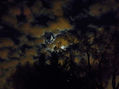 LUNA NUVES8