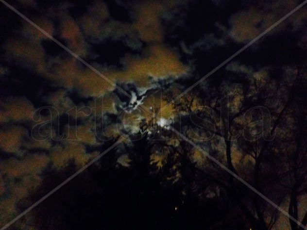 LUNA NUVES8