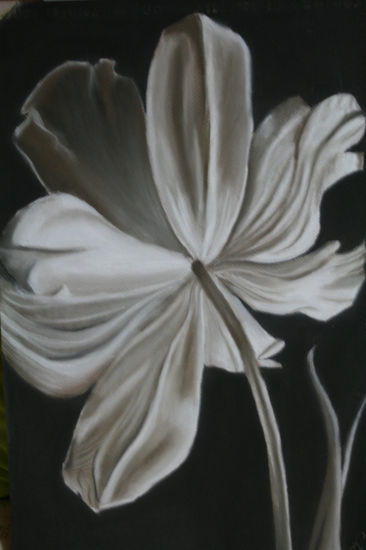 Blanco y negro Pastel Paper Floral Painting