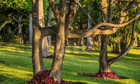 Naturaleza