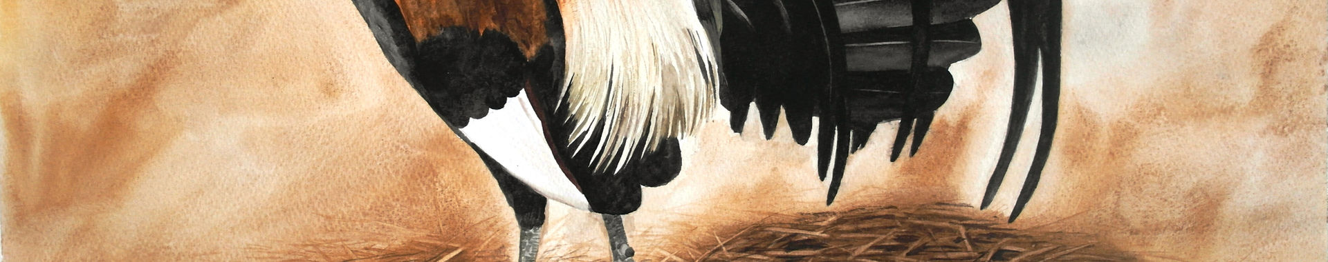 Imagen de portada