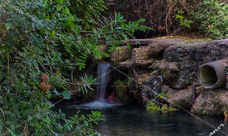 Naturaleza