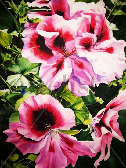 Geranios Watercolour Paper Floral Painting