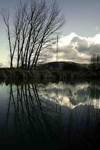 Reflejos