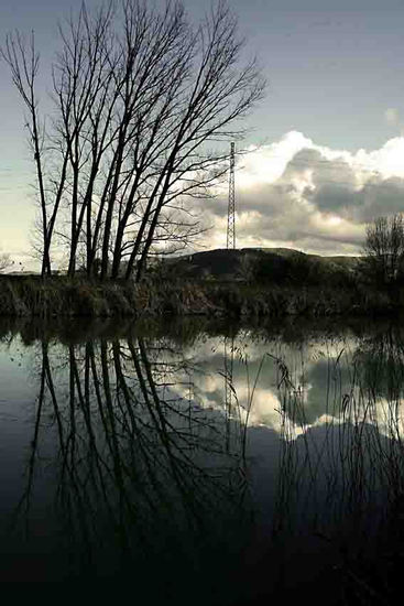 reflejos Nature Color (Digital)