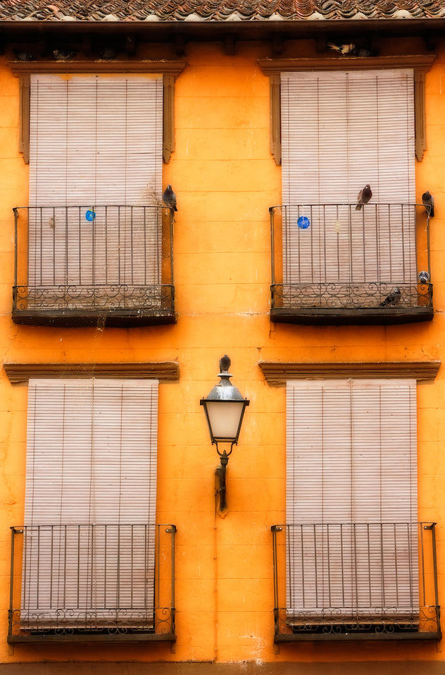Balcones