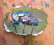 MOSCA