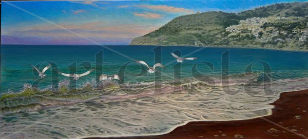 gaviotas