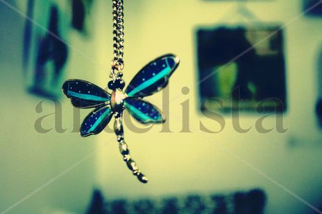 Can´t fly