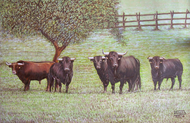 TOROS EN EL CAMPO Oil Canvas Animals