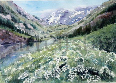 Paisaje alpino