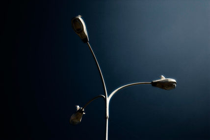 Gaviotas en la...