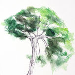 CIENCIAS NATURALEZA thumbnail 1