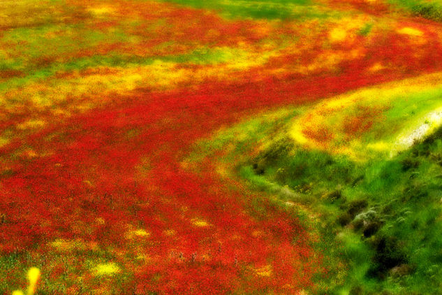 Primavera en Castilla Naturaleza Color (Digital)