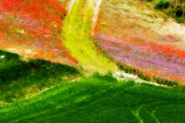 Camino de flores 2 Nature Color (Digital)