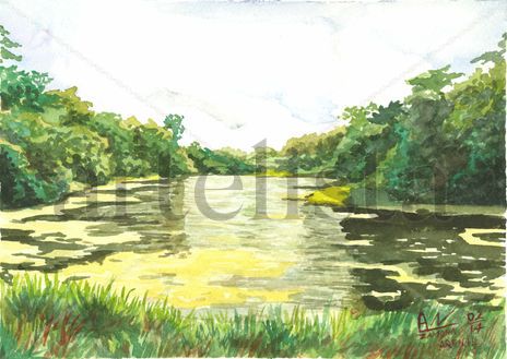 Lago en el Arenal