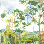 Paisaje costarricense en acuarela thumbnail 1