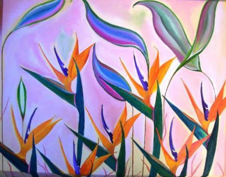Bird of Paradise...