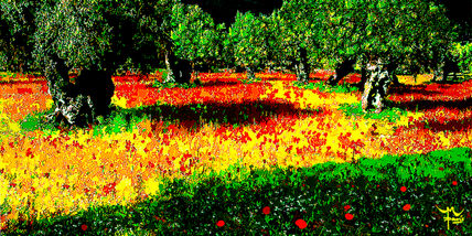 Olivar