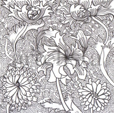 Nueva Flora # 1