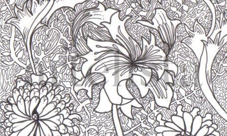 Nuevas Floras