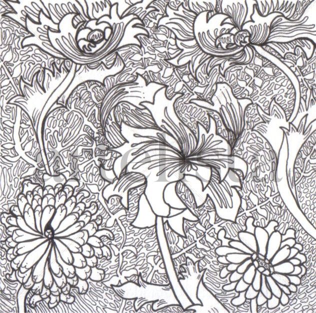 Nueva Flora # 1