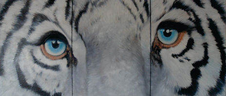 Neuro tigre blanco