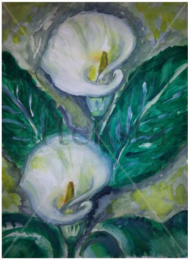 Calas de primavera