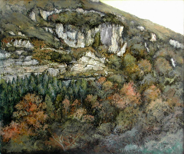 Bosque de hayas en otoño -Cantabria