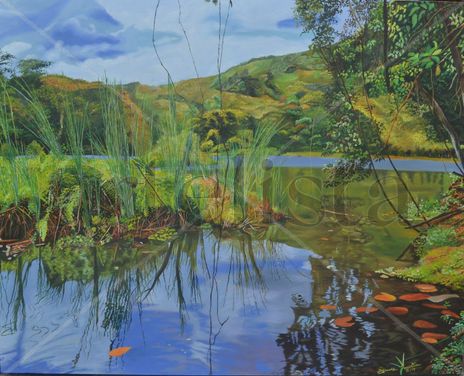 TABACAL "Reflejos"