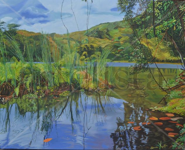 TABACAL "Reflejos"