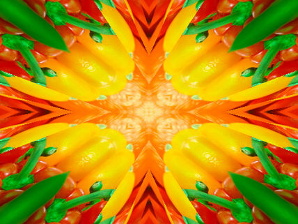 Fruti tractal