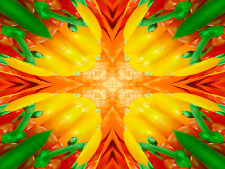 Fruti tractal