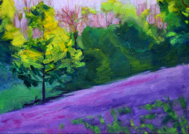 CAMP DE VIOLETES Oil Canvas Landscaping