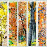 ABSTRACTOS thumbnail 1