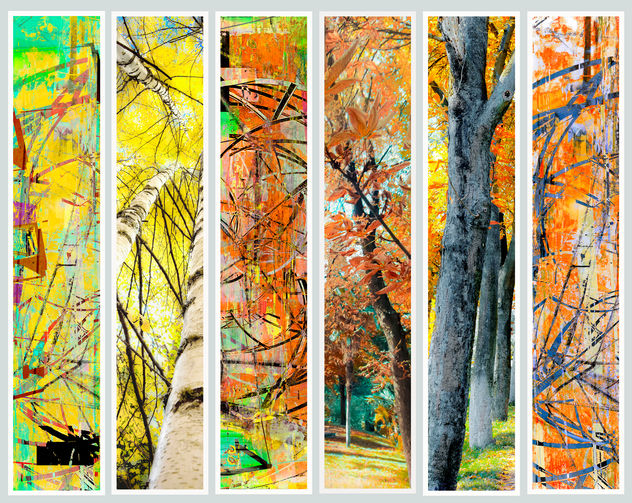 ABSTRACT NATURE