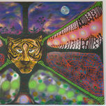ENTORNO thumbnail 2