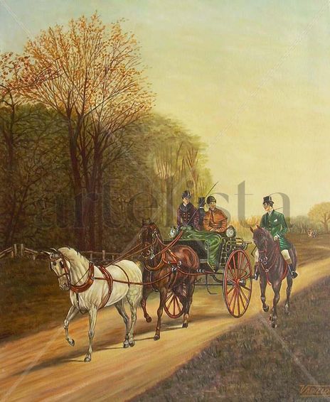 Paseo por el bosque